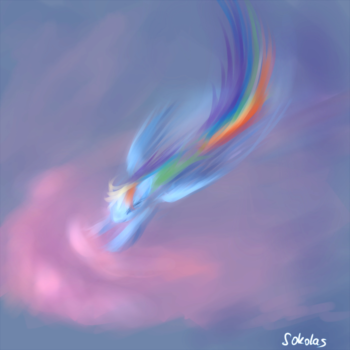  My Little Pony, Rainbow Dash, Sokolas