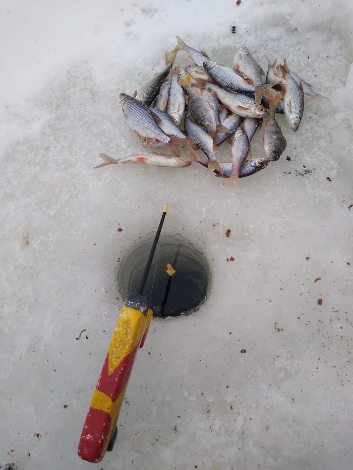 On the City Pond - My, Winter fishing, Pond