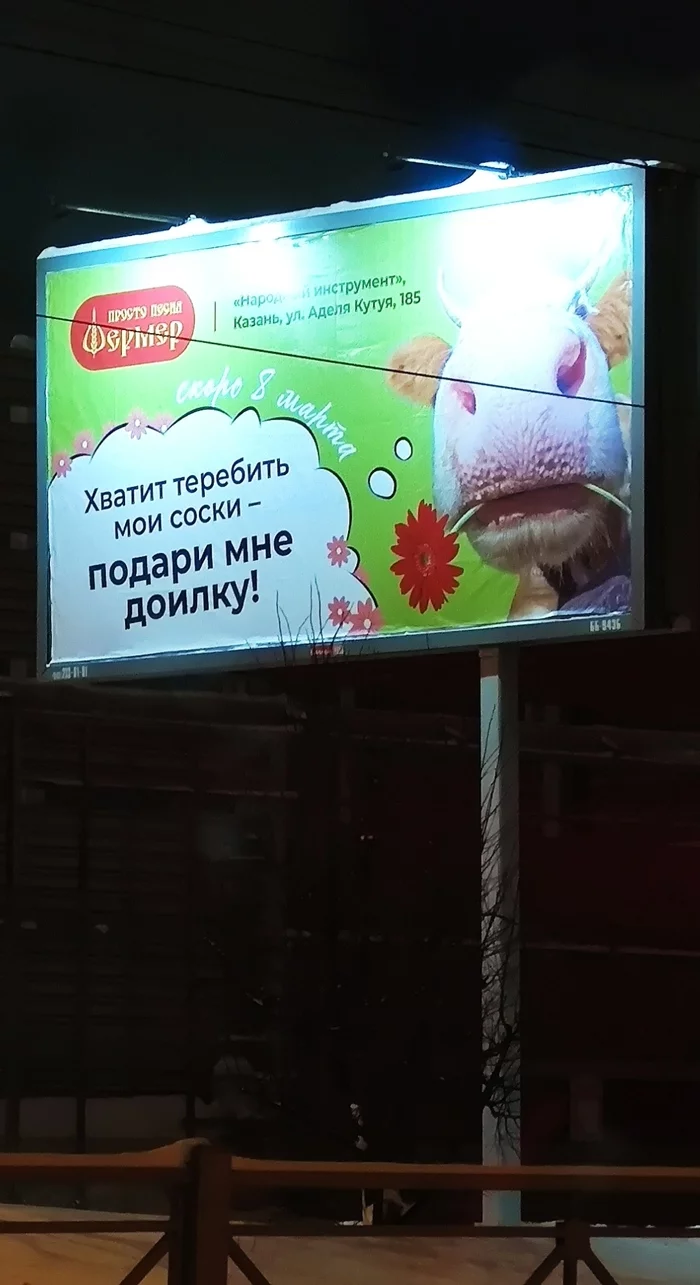 Stop fucking! - My, Advertising, Cow, Kazan, Udder, Billboard