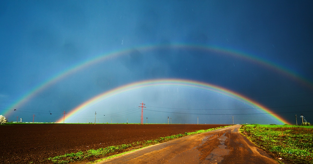  Rainbow | Пикабу