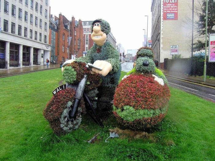 Smiled - Lawn, Landscape design, Moto, Dog, Milota, Wallace and Gromit