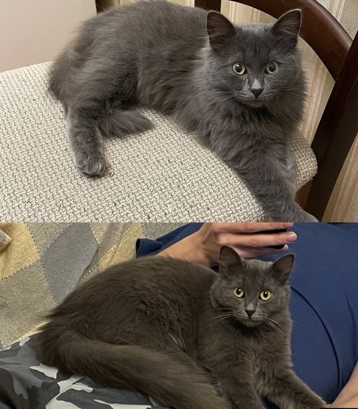 ��� ������ ������ ������