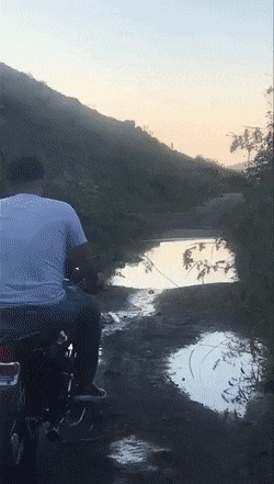   , , , 