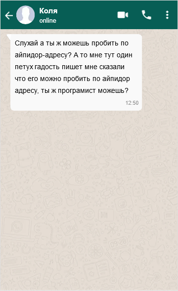 Proboy, the Tyzhprogramist - My, Screenshot, Chat room, Whatsapp, Tyzhprogrammer, Calculation by ip, Humor, Memes