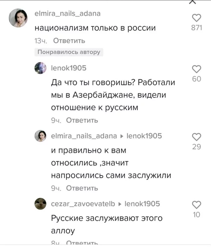 Elmira is an expert on nationalism in Russia - Screenshot, Tik tok, Comments, Nationalism, Russia, Russophobia, Azerbaijanis, Negative