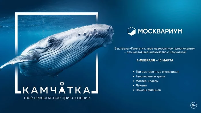 The exhibition Kamchatka: Your Incredible Adventure will open at the Center for Oceanography and Marine Biology Moskvarium at VDNKh - Eco-city, Nature, Ecology, Media and press, Longpost, Exhibition