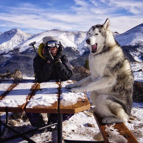 A true friend - Dog, Leisure, The mountains, Pets, Best friend, Skiing, Snowboard, Tourism