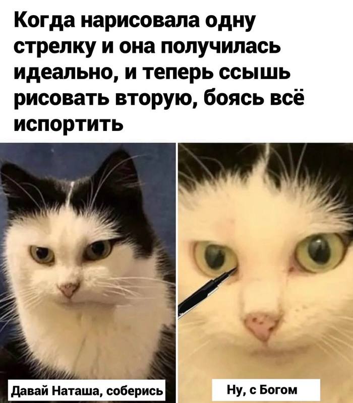   , , , , 