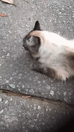      , , , 