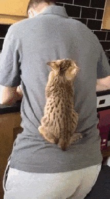      , , , 