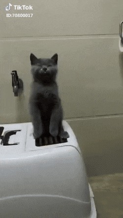      , , , 