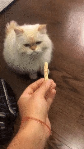      , , , 