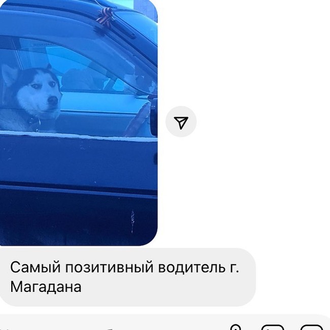 ����� ���������� ��������