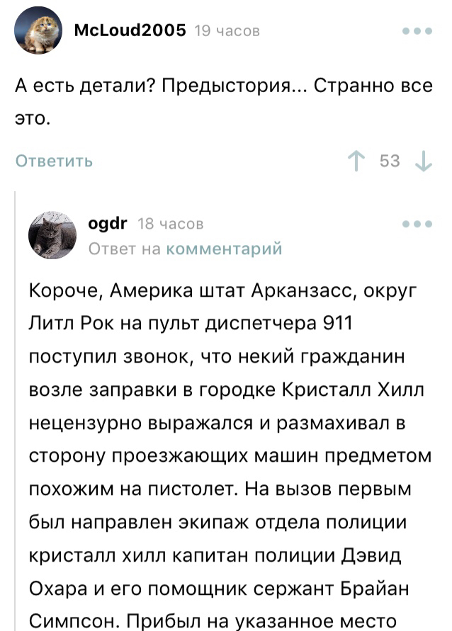 А я уже поверил... - Преступление, Мат, Скриншот, Комментарии на Пикабу, Длиннопост