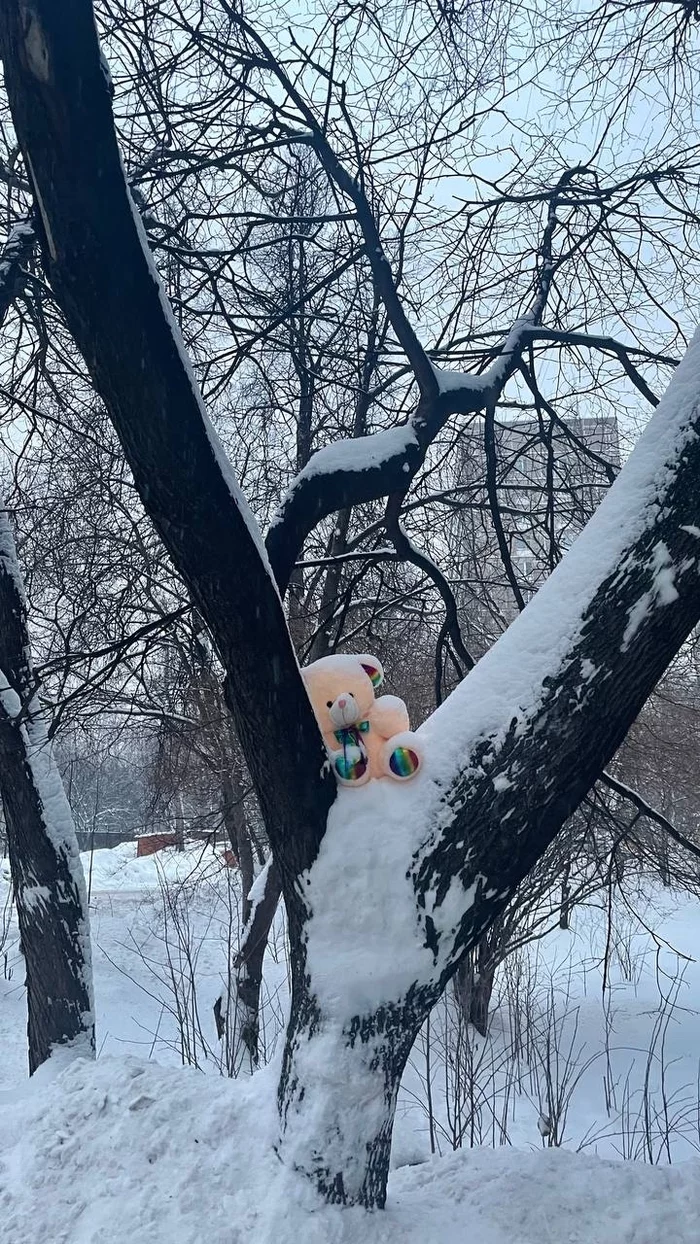 Bear on a tree - My, Teddy bear, Toys, Tree, Winter, A loss