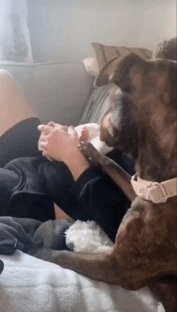      , , , 