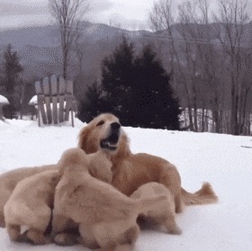      , , , 