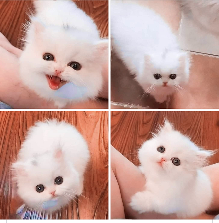 , 
