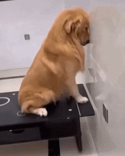      , , , 