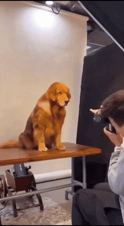      , , , 
