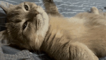      , , , 
