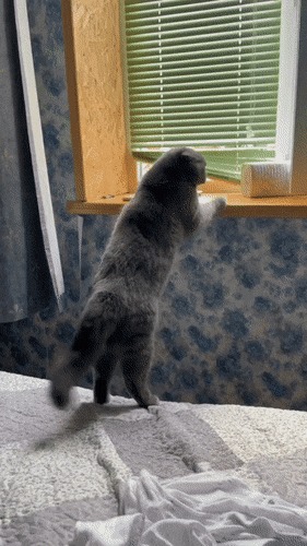      , , , 
