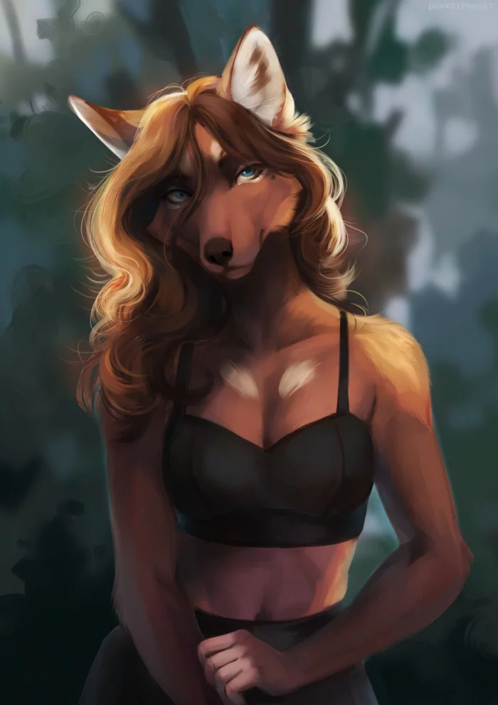 Foxy - Furry, Anthro, Art, Furry fox, Dannoitanart, Furry edge