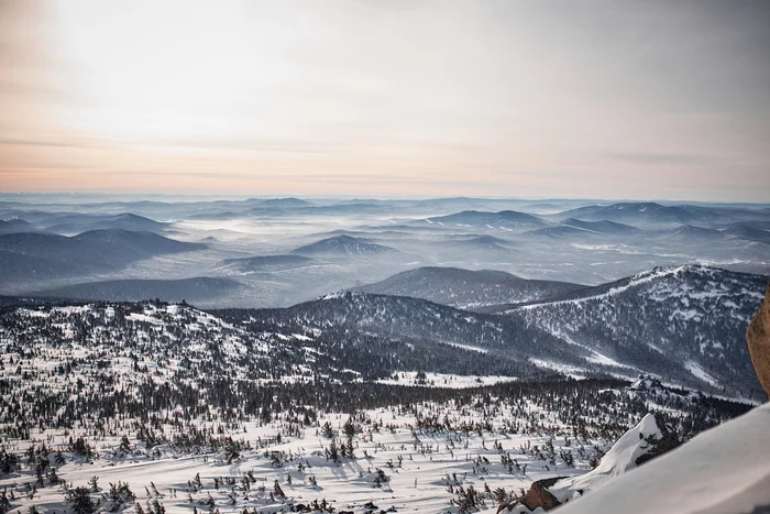 Sheregesh - Forest, The photo, The nature of Russia, Winter, Longpost