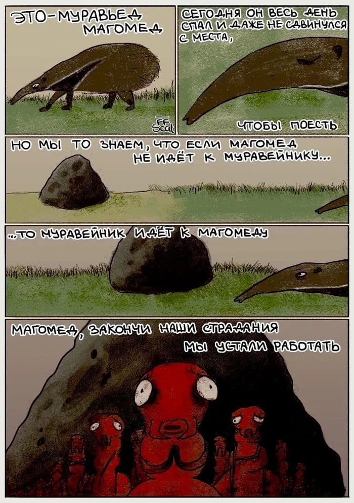 Anteater Magomed - Comics, Ant-eater