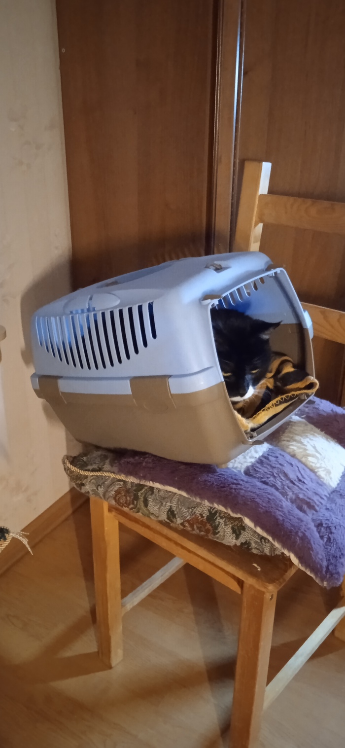 Да, удобно, отстань (3)