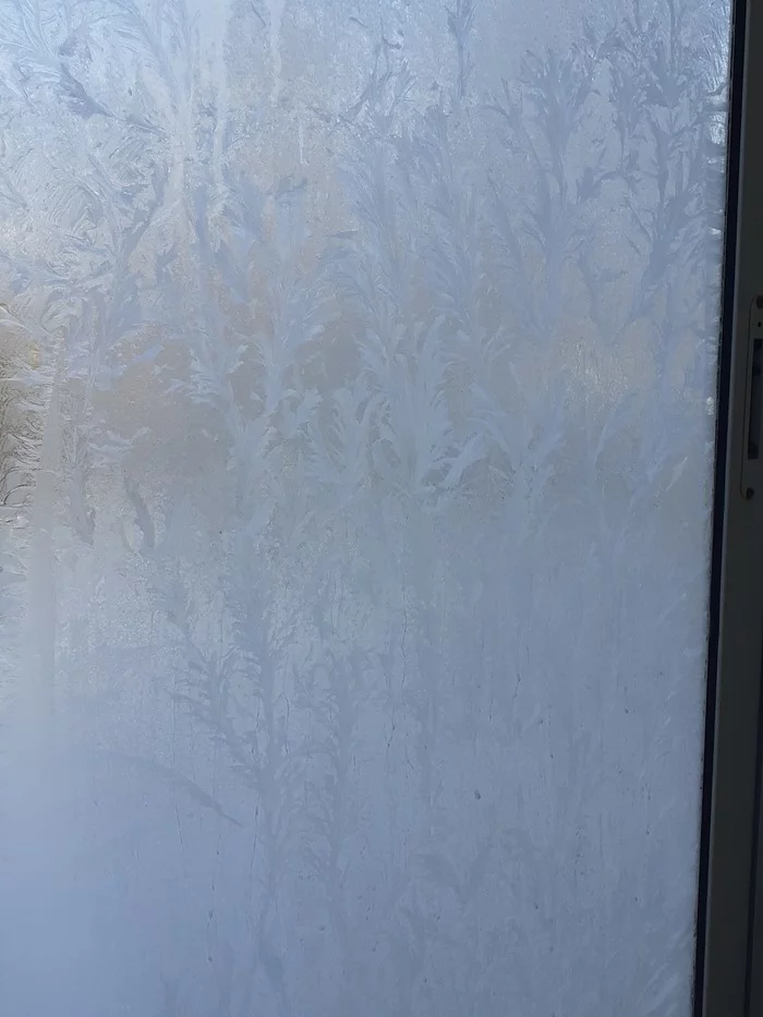 Oh how frosty it is in January when the amenities are in the yard!!! - freezing, Window, Patterns, Longpost