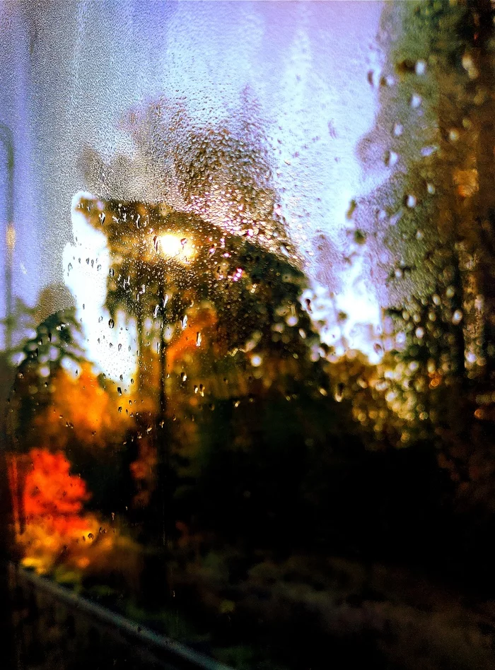Window to autumn - My, The photo, Autumn, Nature