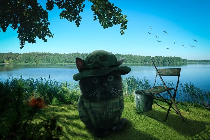 If I had such a cat ... - cat, Fishing, Costume, Panamanka, Nature, Do you sell fish?