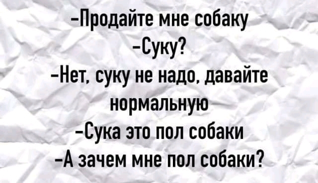 Собака - Юмор, Скриншот