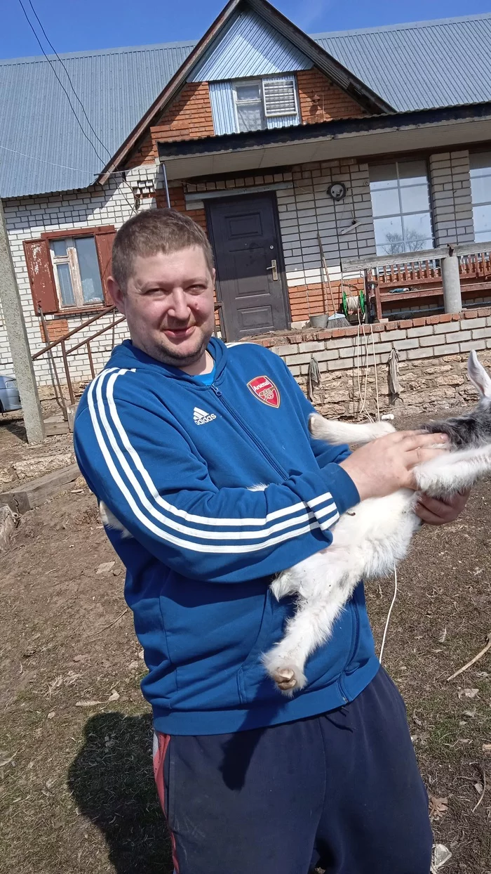 Goat in the village - Goat, Village, Longpost