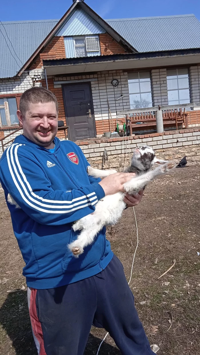 Goat in the village - Goat, Village, Longpost