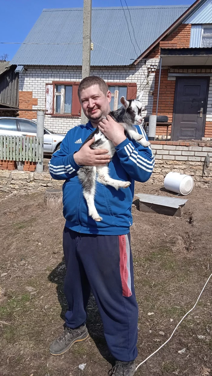 Goat in the village - Goat, Village, Longpost