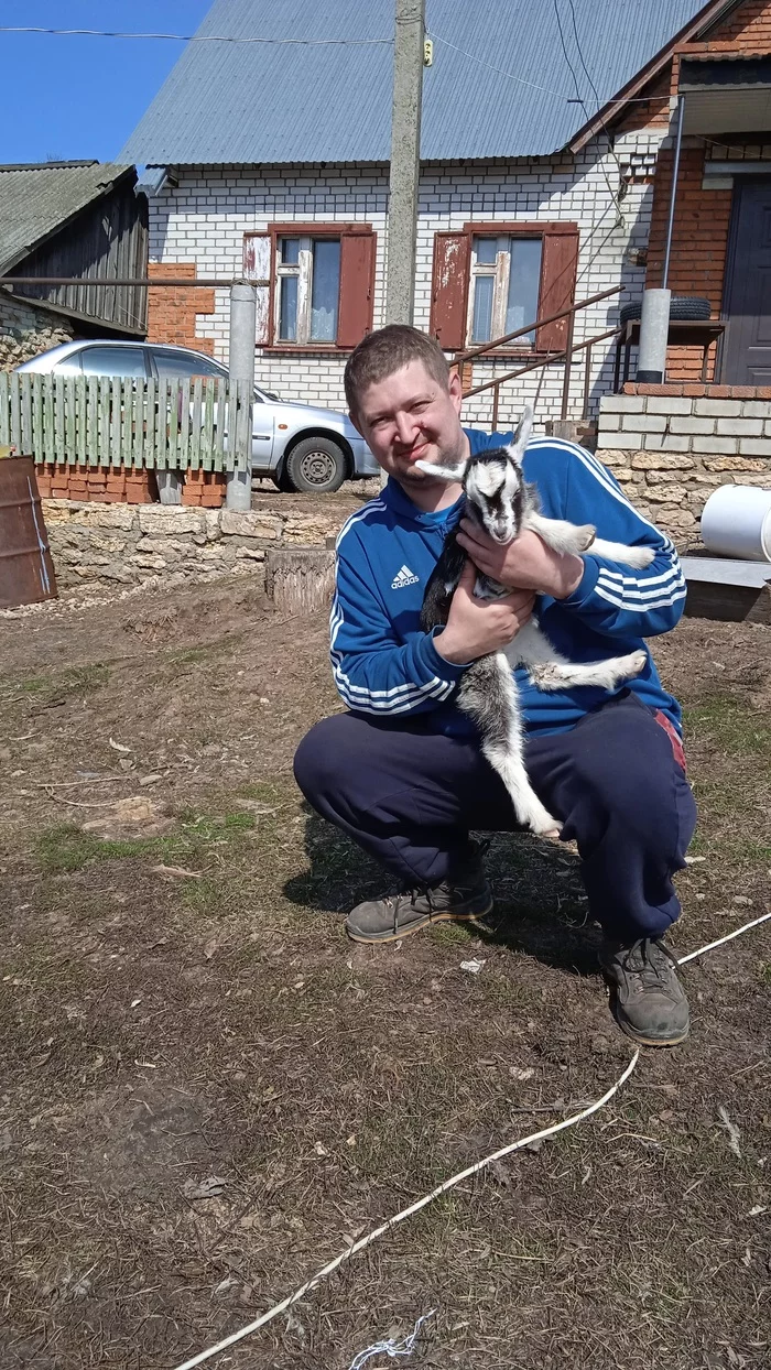 Goat in the village - Goat, Village, Longpost