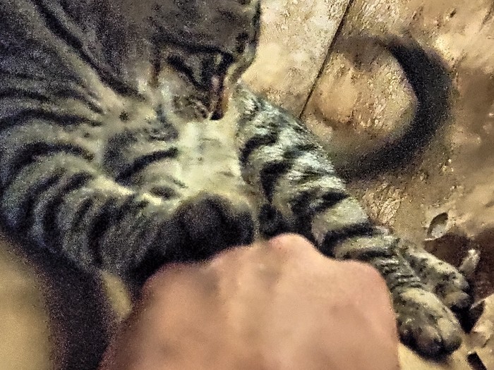 ��������