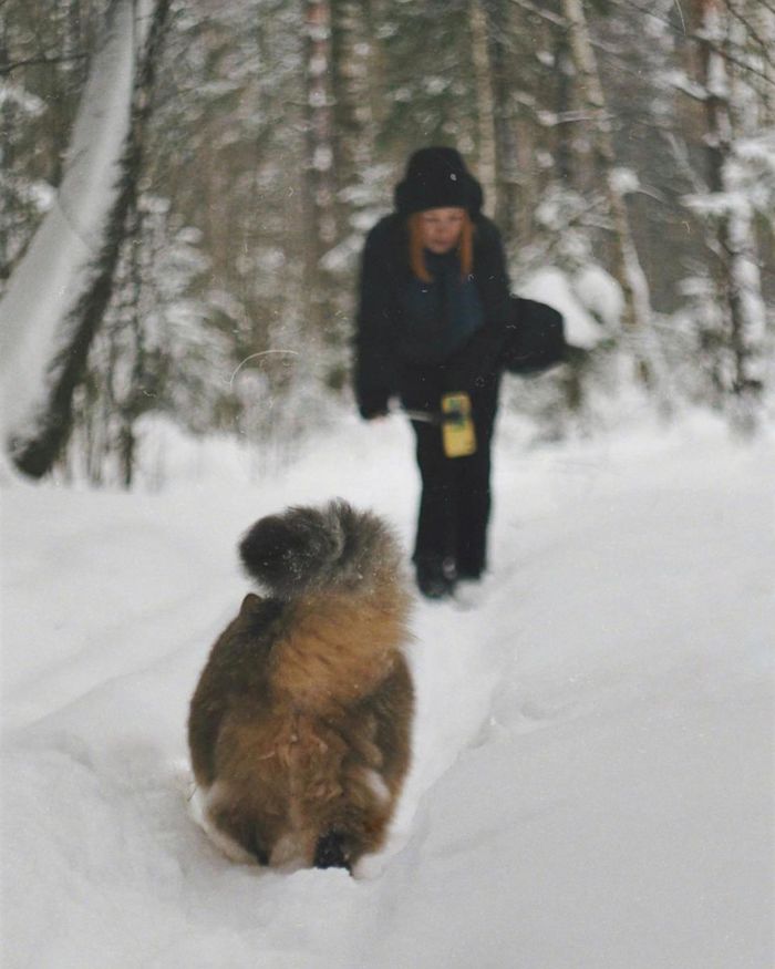 �������� ����