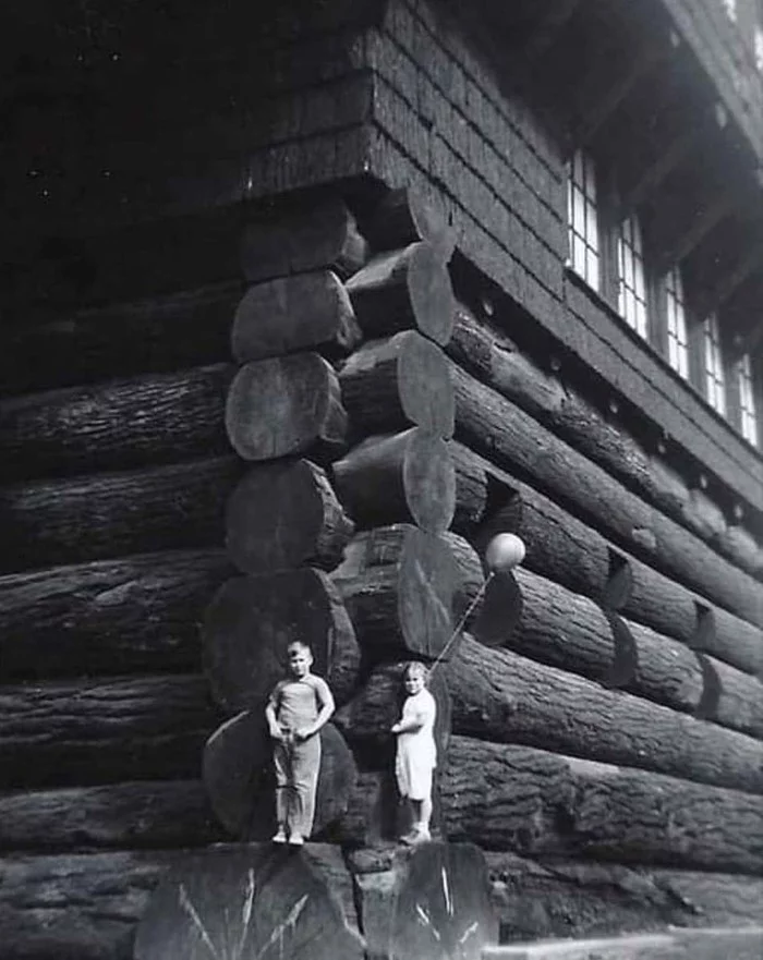 Wooden house from the world's largest logs - House, Wooden house, High-rise building, USA, Sequoia
