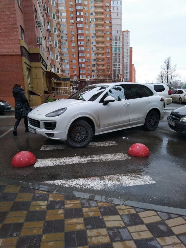 Хорошо так голубь какнул - Авто, Пешеходный переход, Неправильная парковка, Месть, Длиннопост