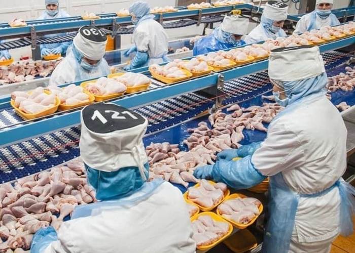 Workers of the meat processing plant in Naberezhnye Chelny were marked with caps with numbers - Naberezhnye Chelny, Meat processing plant, Effective manager, Robot