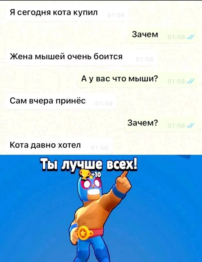 How to get a cat if not allowed? - Memes, Humor, Screenshot, Correspondence, SMS, Posts, Brawl stars, cat, Mouse, Wife