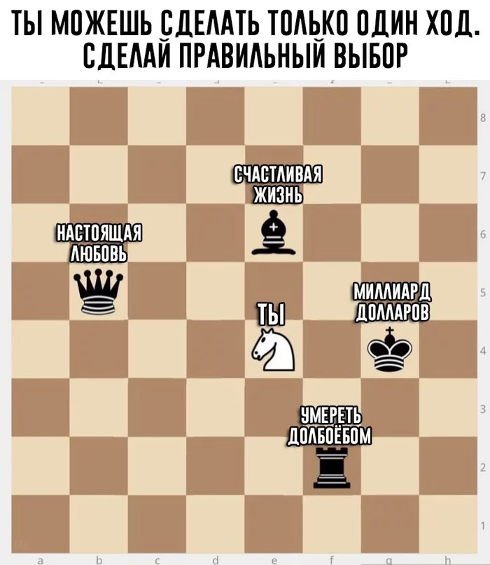 Response to the post All paths are open - Reply to post, University, Chess, IT humor