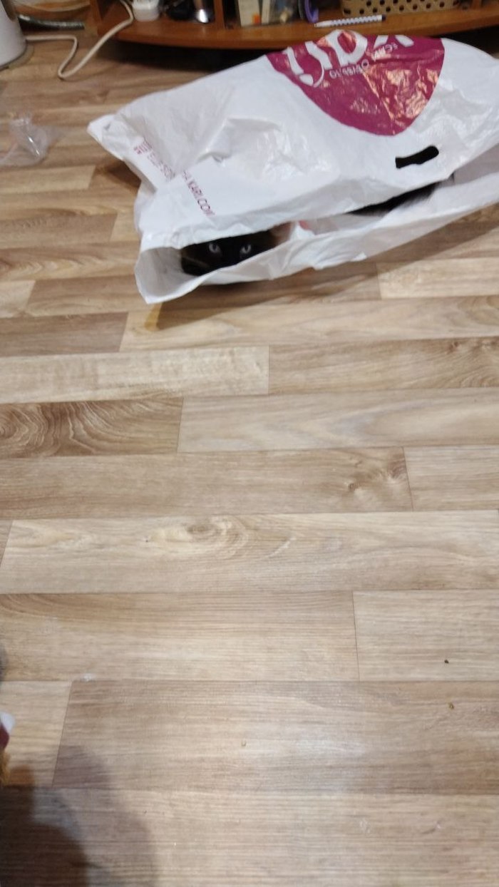 �� ���� ���������