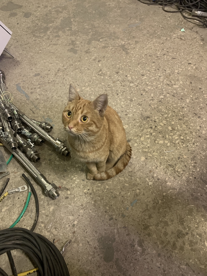 �������� ������