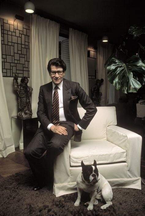 Man - Yves Saint Laurent, French Bulldog, Old photo