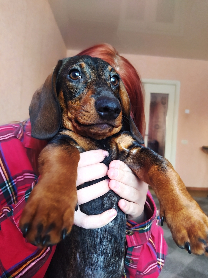 �������������