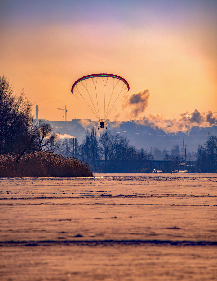 ˸���� �������